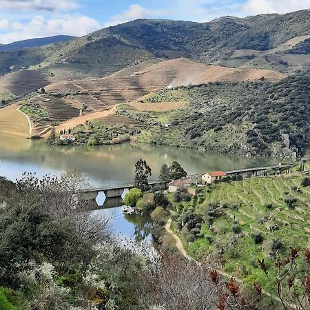 São João da Pesqueira Quinta Da Ferradosa Wines旅馆 外观 照片