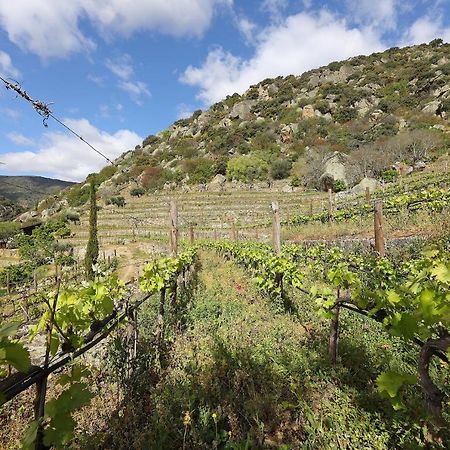 São João da Pesqueira Quinta Da Ferradosa Wines旅馆 外观 照片