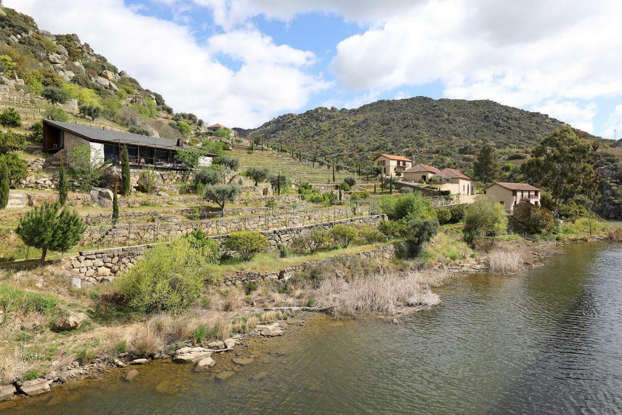 São João da Pesqueira Quinta Da Ferradosa Wines旅馆 外观 照片