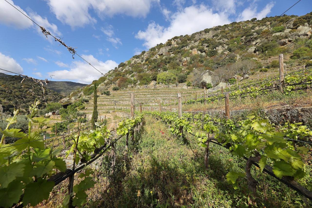 São João da Pesqueira Quinta Da Ferradosa Wines旅馆 外观 照片