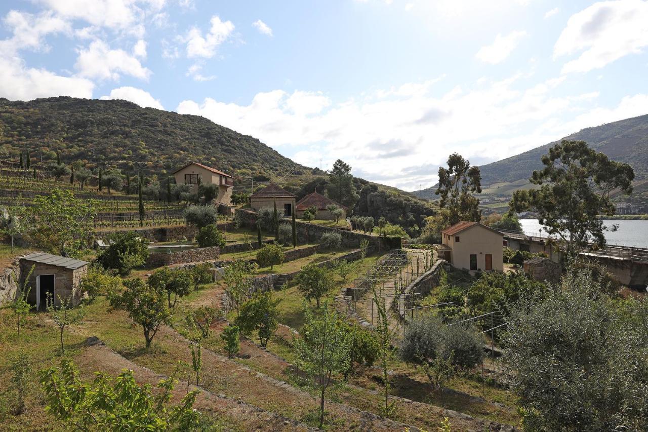 São João da Pesqueira Quinta Da Ferradosa Wines旅馆 外观 照片