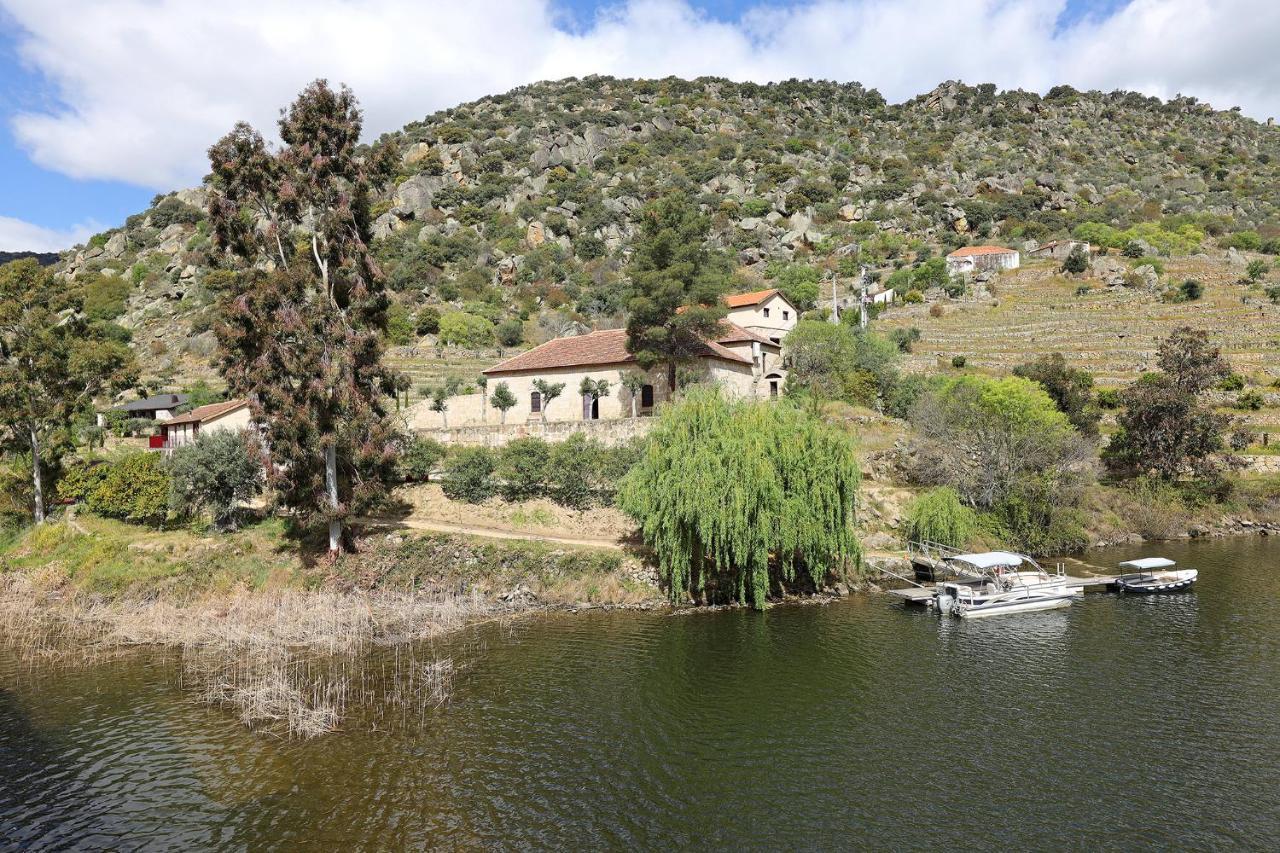 São João da Pesqueira Quinta Da Ferradosa Wines旅馆 外观 照片