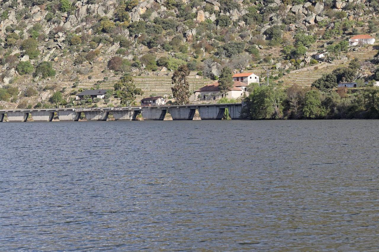 São João da Pesqueira Quinta Da Ferradosa Wines旅馆 外观 照片