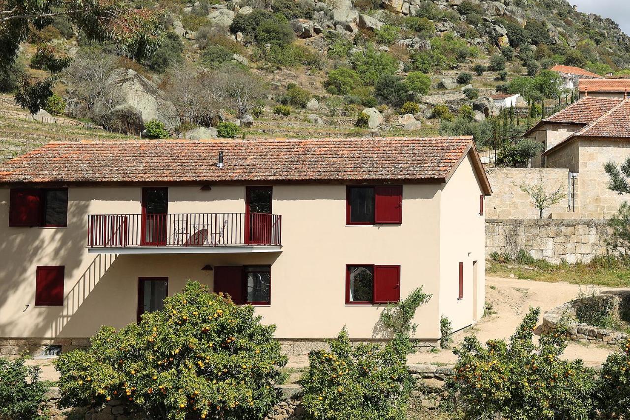 São João da Pesqueira Quinta Da Ferradosa Wines旅馆 外观 照片