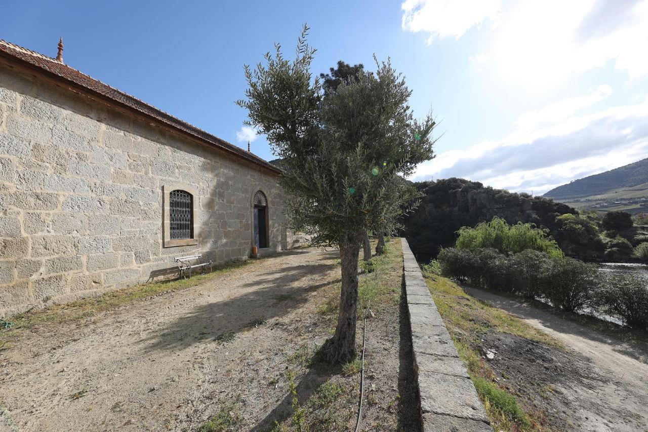 São João da Pesqueira Quinta Da Ferradosa Wines旅馆 外观 照片