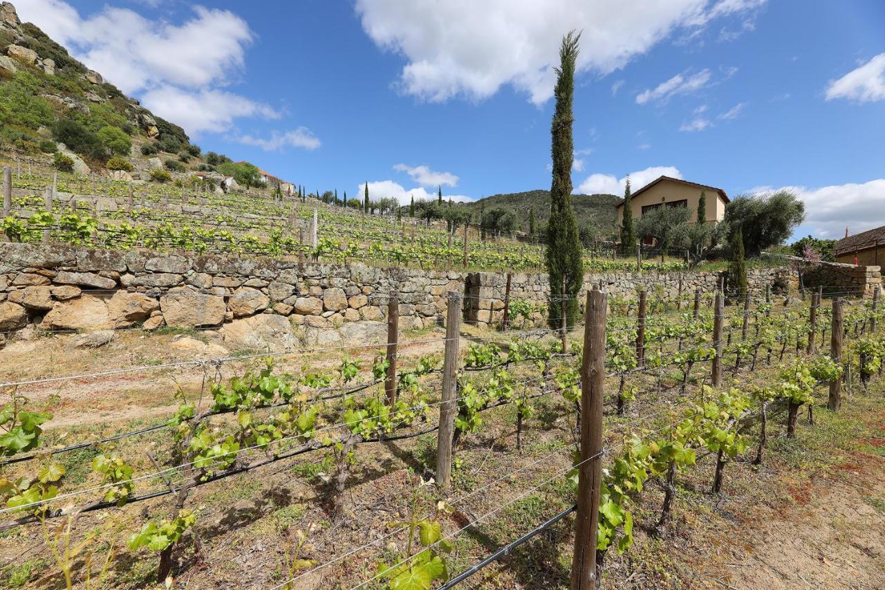 São João da Pesqueira Quinta Da Ferradosa Wines旅馆 外观 照片