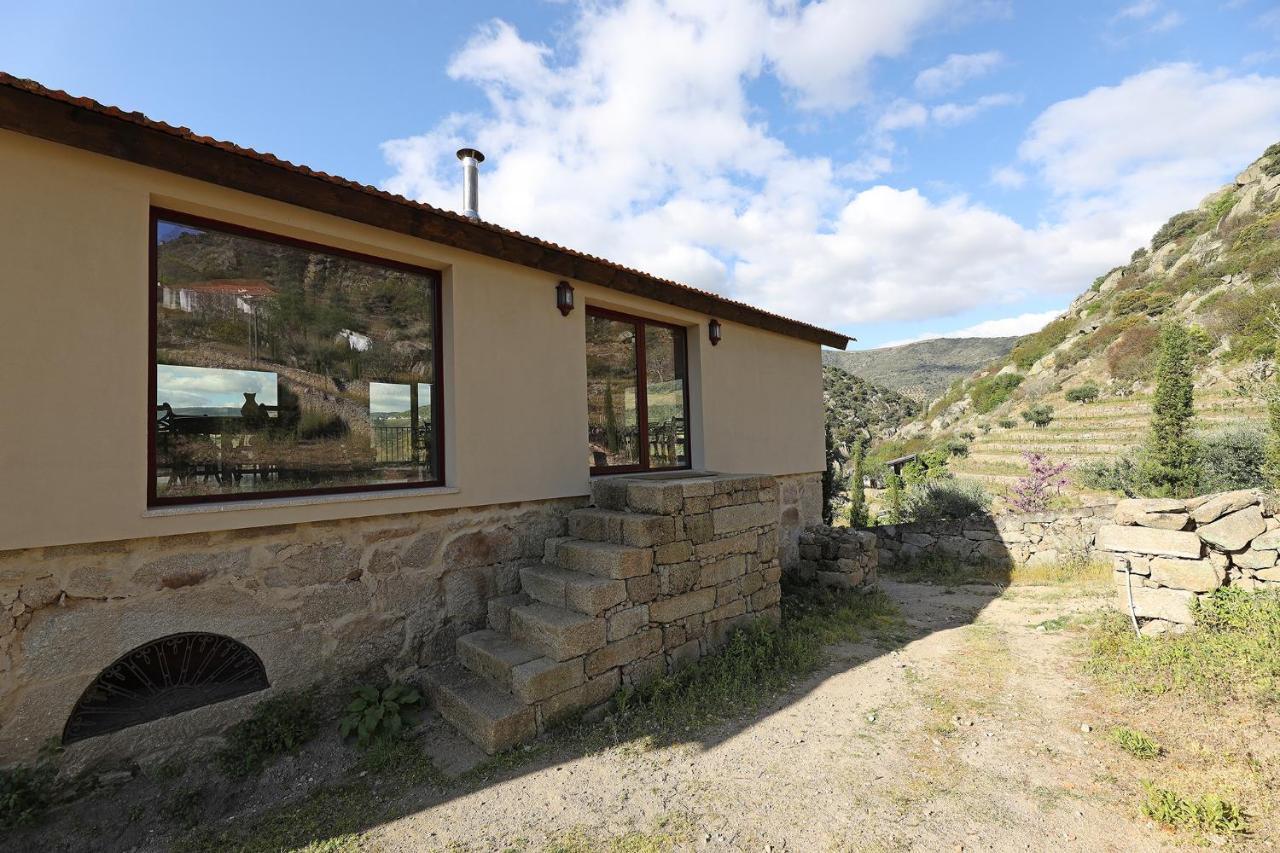 São João da Pesqueira Quinta Da Ferradosa Wines旅馆 外观 照片