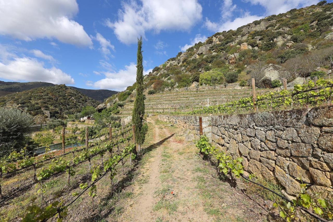 São João da Pesqueira Quinta Da Ferradosa Wines旅馆 外观 照片